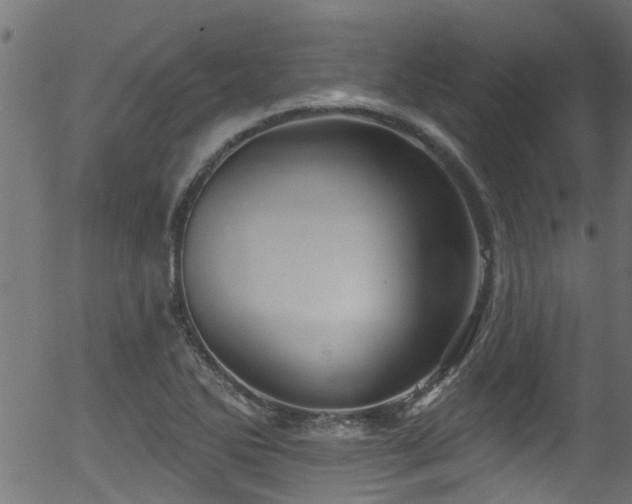 X0000056331270200508291243