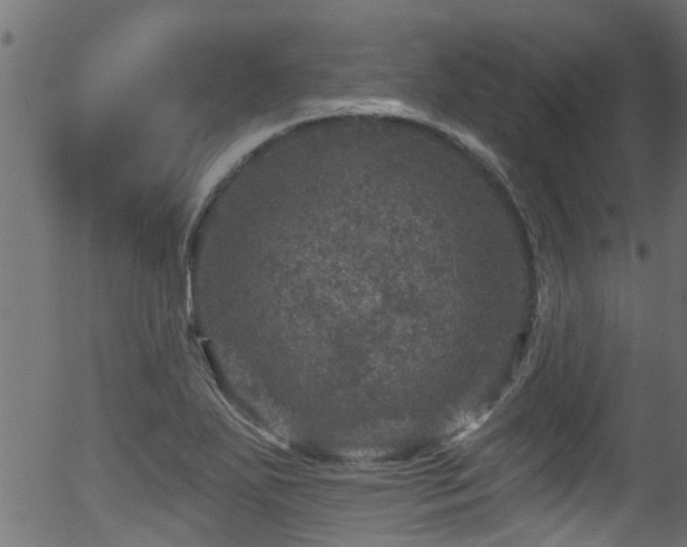 X0000056331271200508291243