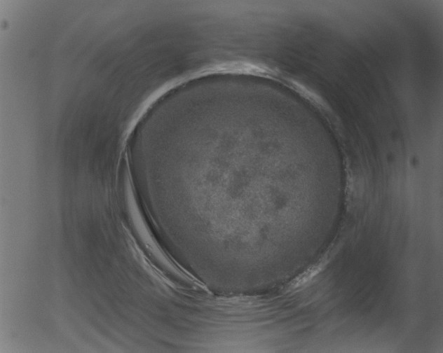 X0000056331272200508291243