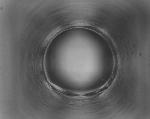 X0000056331273200508291243