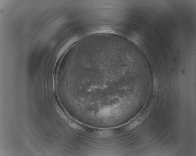 X0000056331274200508291243