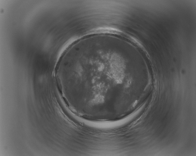 X0000056331275200508291243