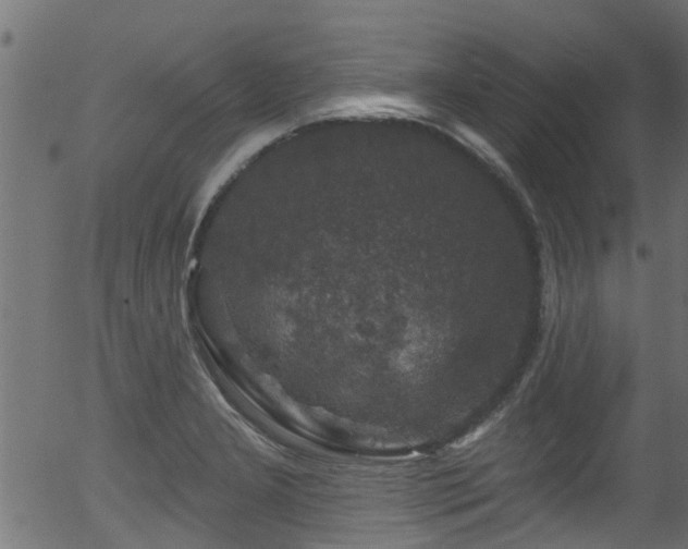 X0000056331277200508291243