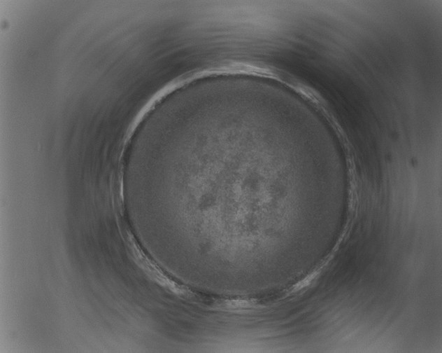 X0000056331280200508291242