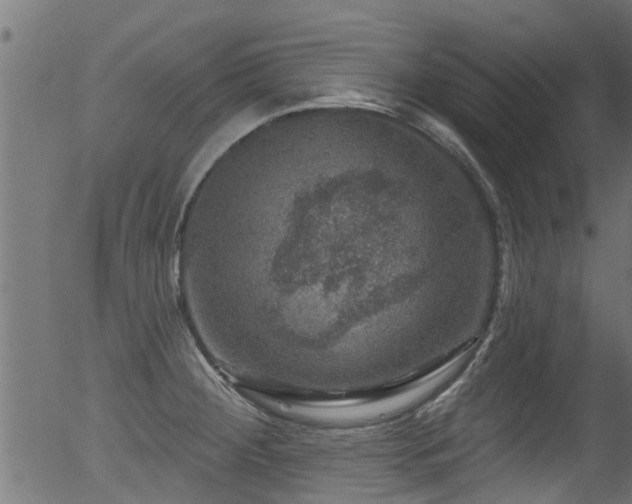 X0000056331284200508291242