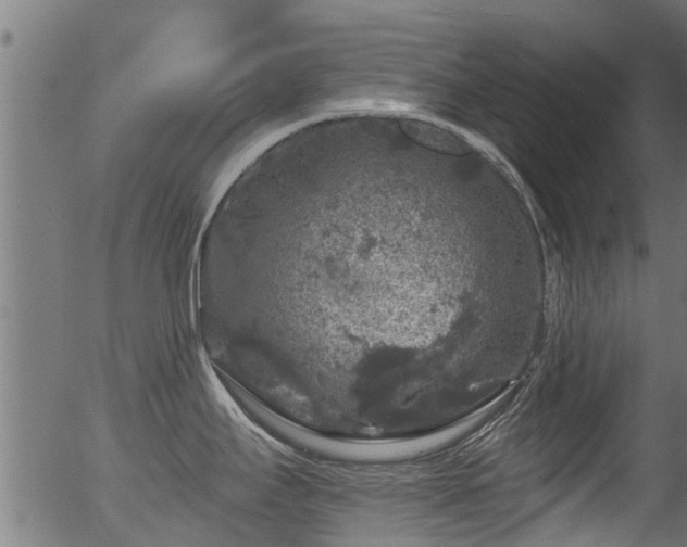 X0000056331295200508291242