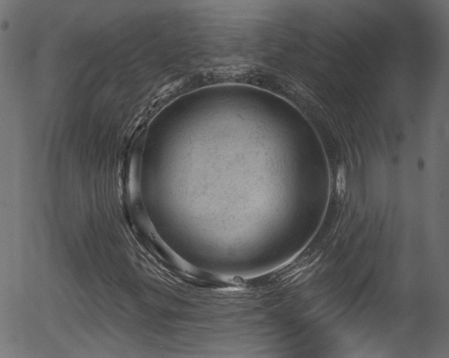 X0000056331299200508291241