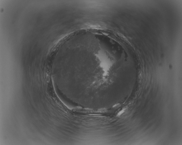 X0000056331303200508291241