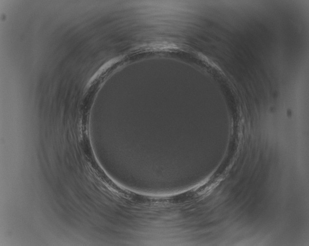 X0000056331306200508291242