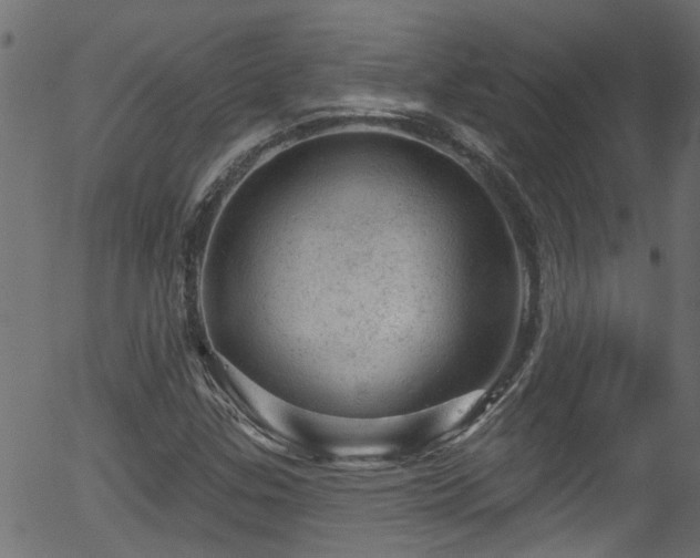 X0000056331307200508291242