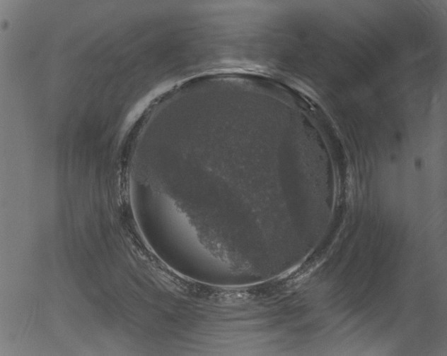 X0000056331310200508291242