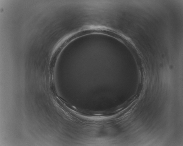 X0000056331319200508291242