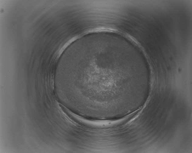 X0000056331321200508291242