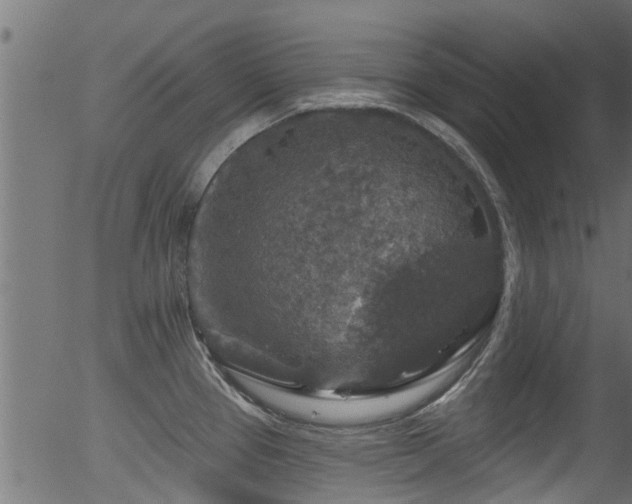 X0000056331337200508291242