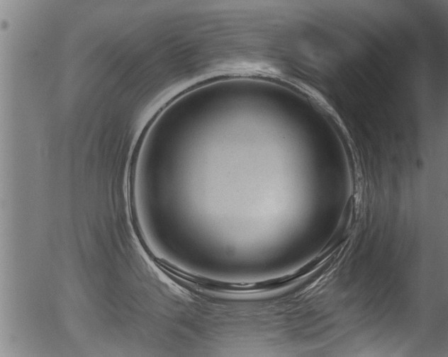 X0000056331343200508291242