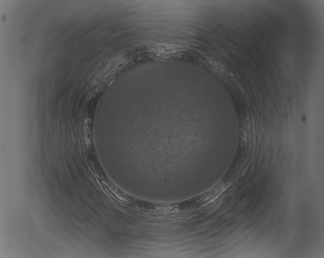 X0000056331346200508291241