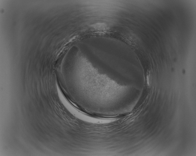 X0000056331347200508291241