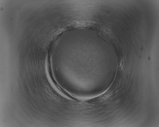 X0000056331348200508291241