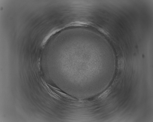 X0000056331355200508291241