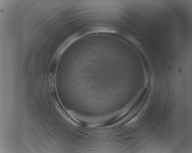 X0000056331369200508291241