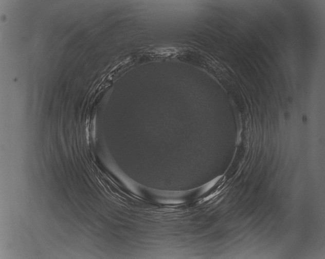 X0000056331394200508291240