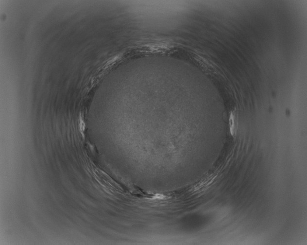 X0000056331395200508291240