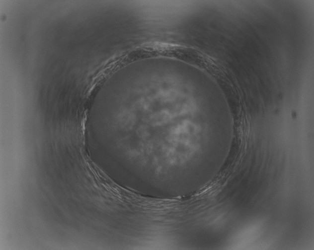 X0000056331397200508291240