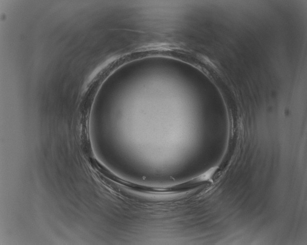 X0000056331406200508291240