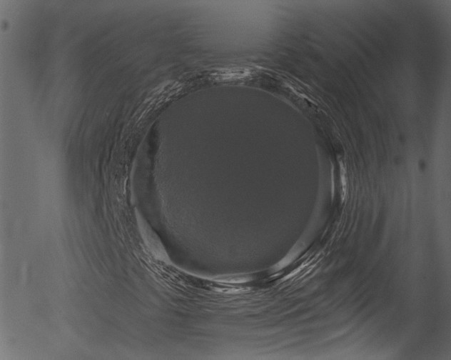 X0000056331441200508291240