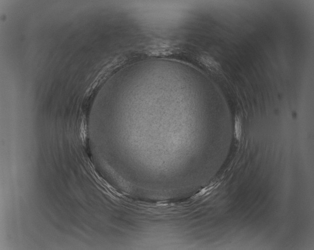 X0000056331444200508291240