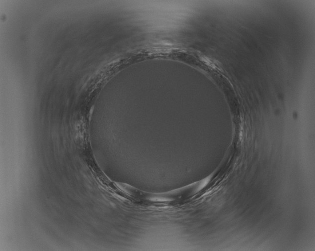 X0000056331445200508291240