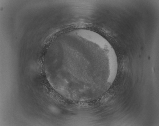 X0000056331446200508291240