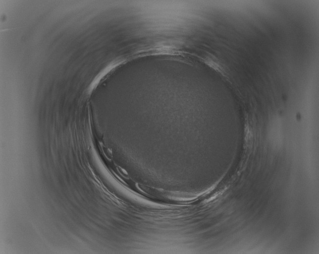 X0000056331450200508291240