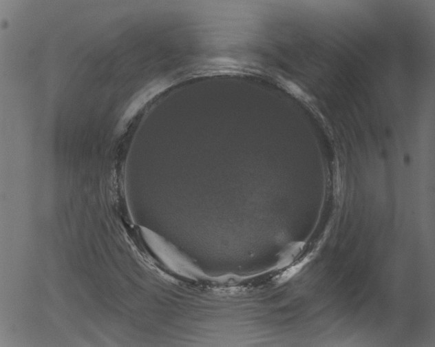 X0000056331453200508291240