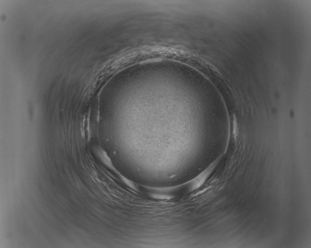 X0000056331492200508291238