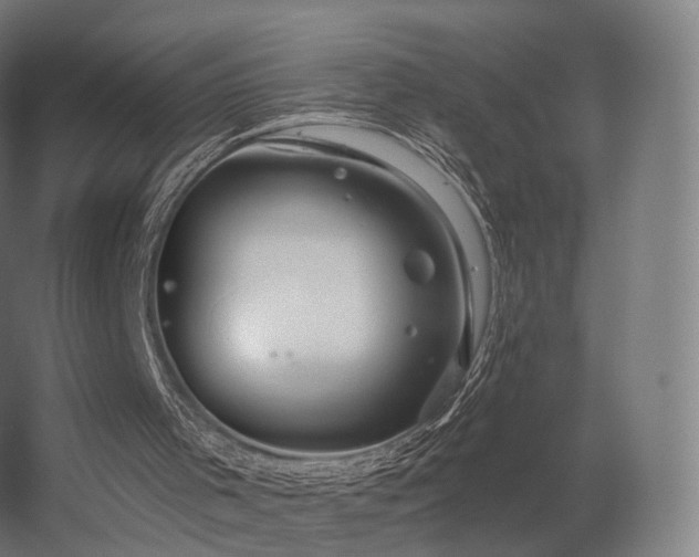 X0000056330001200509021641