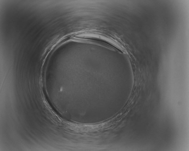 X0000056330002200509021641