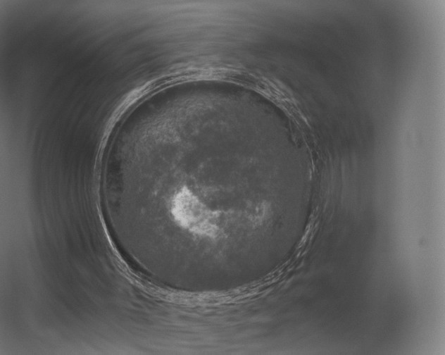 X0000056330003200509021641