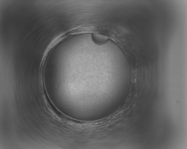 X0000056330004200509021641