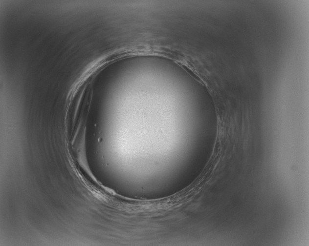 X0000056330005200509021641