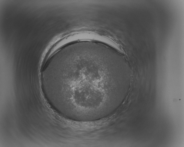 X0000056330006200509021641