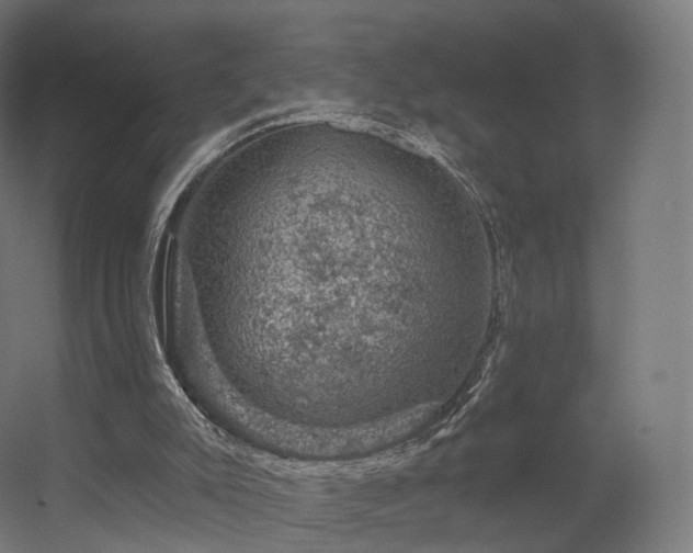X0000056330007200509021641