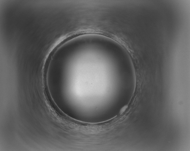 X0000056330008200509021641