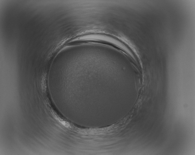 X0000056330009200509021641