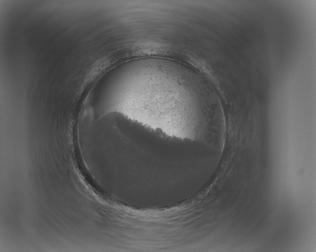 X0000056330010200509021641