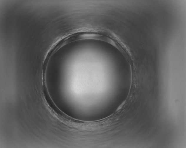 X0000056330011200509021641