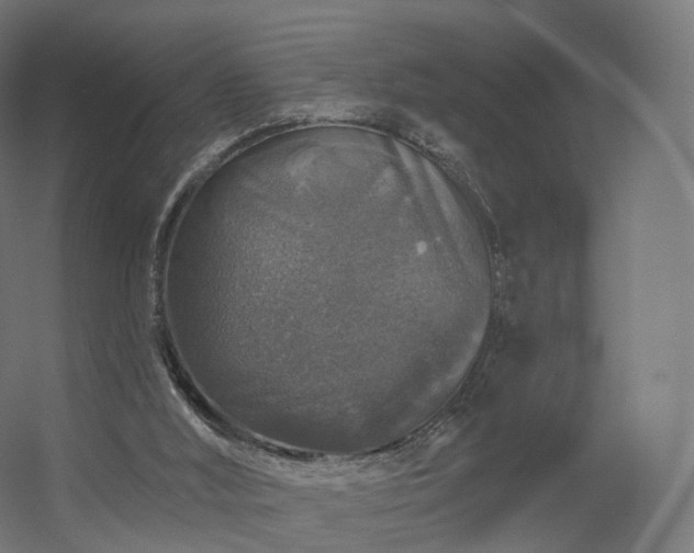 X0000056330012200509021641