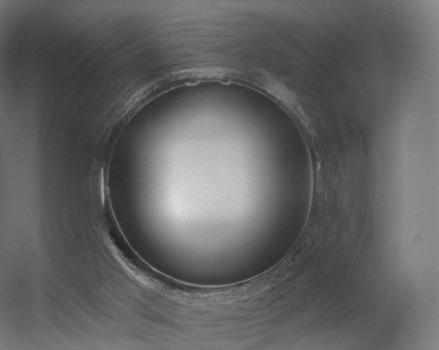 X0000056330013200509021641