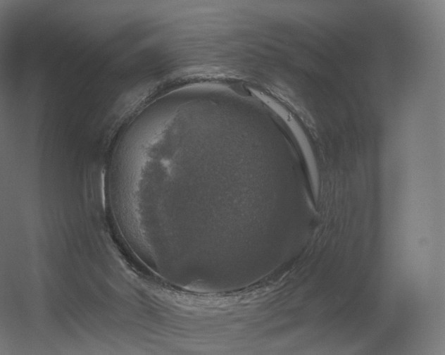 X0000056330014200509021641