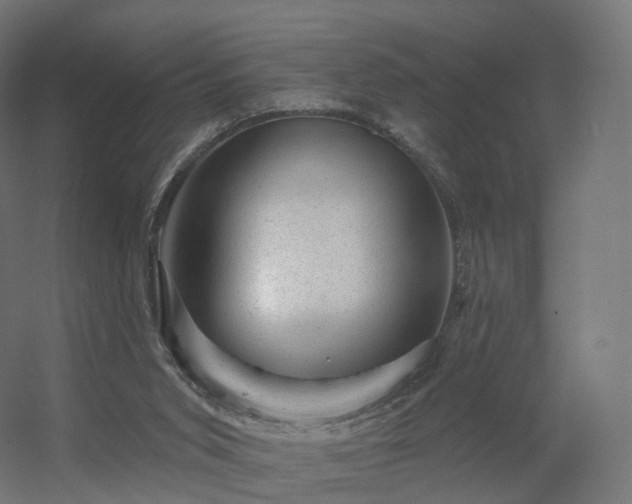 X0000056330015200509021641